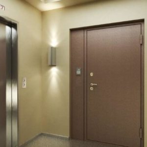 Противопожарная стальная дверь / серия FRM33124